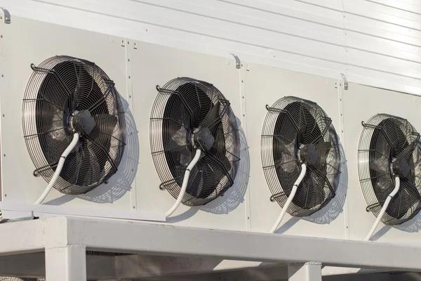 Commercial Refrigeration Essentials Every Business Should Understand