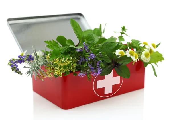 Expert Insights on How Can Plant-Based Supplements Support Stress Management