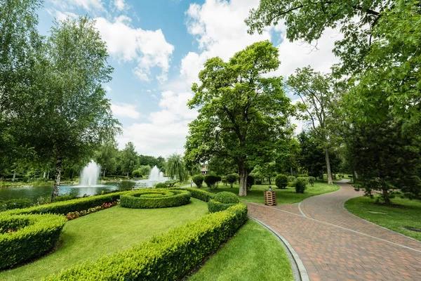 Create a Low-Maintenance Yard With Expert Landscaping