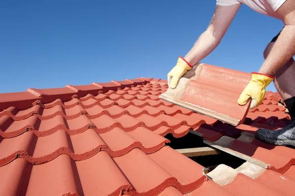 Roof Maintenance Tips for Every Season
