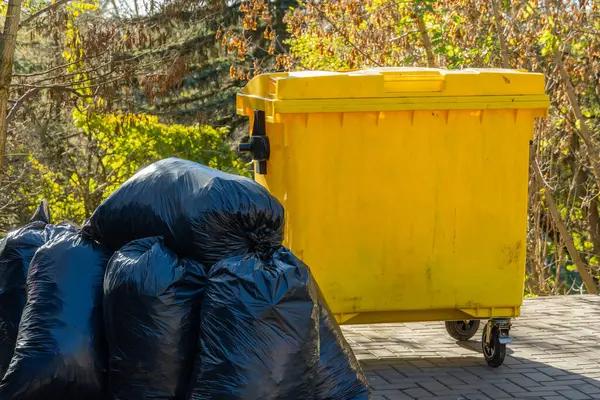 Restore Order to Your Property Using Trusted Same-Day Junk Removal Services